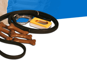 A clicker, lead and dog treats