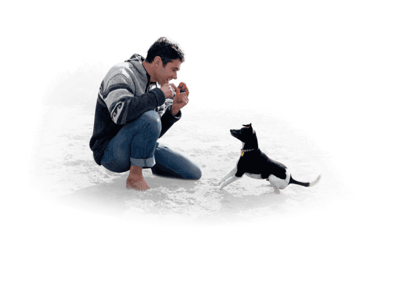 Doggy Dan crouching with a calm dog