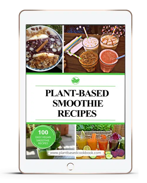 100 Easy Vegan Smoothie Recipes cover